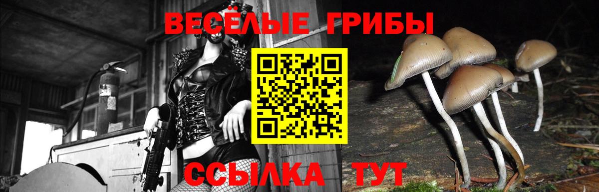Йошкар-Ола  Галлюциногенные грибы мухоморы  Вход с VPN 